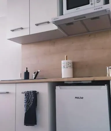 T1bis Renove Avec Gout *